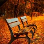 Empty benches in fall weather