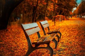 Empty benches in fall weather