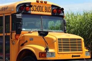 school bus, car accident lawyer